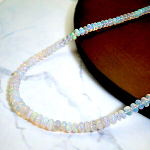 wWG[NC[xzCgS[h(K18WG) Ip[ lbNX(48ct/10a/~L[Ip[/vCEIuEJ[)y WG[zyv[gzy󖳗z*