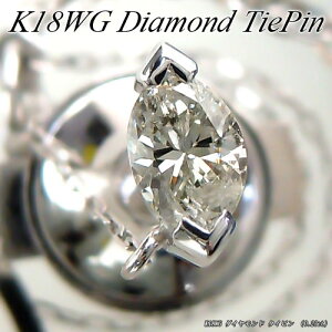 w|Cg10{xzCgS[h (K18WG) _Ch lN^Cs(D 0.20ctȏ/}[LXJbg/^C^bN/^Cs/ꗱ/Y/̓)y WG[zyv[gzy󖳗z*