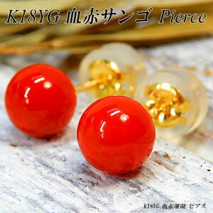 w|Cg20{+5%N[|xyyzCG[S[h(K18YG) ԎX sAX(5mm//TS/R[/3a/X^bh)yVzy WG[zyv[gz*