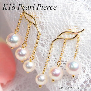 wWG[NC[xCG[S[h(K18YG) AR p[ sAX(AR^/6a/Ԃ牺//3A/tH[}//w/Ǝ/^sAX)y WG[zyv