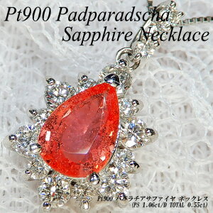 w|Cg10{xyyzv`i(Pt900) pp`ATt@C lbNX(1.060ct/D 0.55ct/嗱/yAVFCv/AXg[/ӕʏ/pp`/9a)yVzynCNXzy W