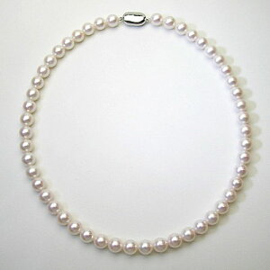 wWG[NC[x[Xs[hz]a AR ^ p[ lbNX(ǎ/嗱8`8.5mm/AR^/tH[}//w/Ǝ//ӕʏt)y WG[zyv[