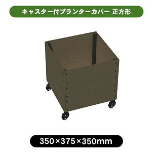 y11̓Gg[P10{z i lH؃v^[Jo[3535 ` [^ LX^[t aks-40299