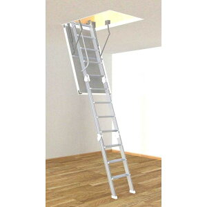 y11̓Gg[P10{z yPi̔s/{̓wz_CP V[͂ IvV肷 CXTWTS