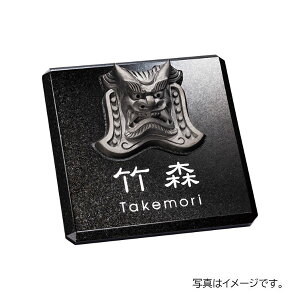 y11̓Gg[P10{z  \D X^CA[gTC JC ~JQ&S SAFS6-100