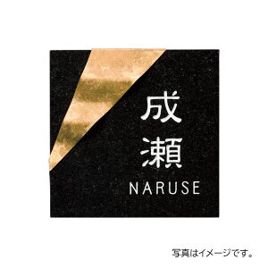 y11̓Gg[P10{z  `^A[gTC ~JQ&`^S[hF[ TI-213A