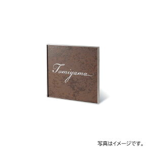 y11̓Gg[P10{z  GNZ (XeBuE) APE-11