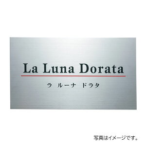 y12̓Gg[P10{z  ٖEƃTC hCGb`O XeXhCGb`Oٖ SZ-1