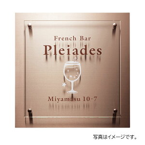 y12̓Gg[P10{z  ٖEƃTC KXAN&XeX[ WZ-36