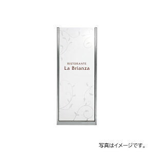 y12̓Gg[P10{z  ٖEƃTC TC 킹KXXeX GZ-1008