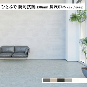 y11̓Gg[P10{z ^W} ЂƂӂŖhRH30mm ڋЖ H:30 A^Cv(nJ}) (J[WJ)