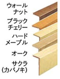 y11̓Gg[P10{z ytH[^Cv I[N AJ2523-7-B Ebh