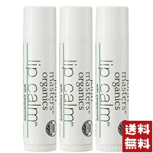 W}X^[I[KjbN bvJ[ yp[~g bvN[ 4.0g×3Zbg