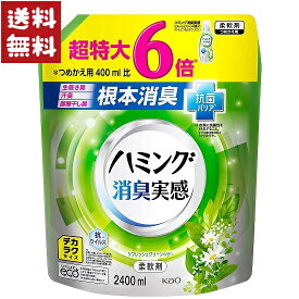 ハミング 消臭実感 柔軟剤 リフレッシュグリーンの香り 詰め替え デカラク 2400ml