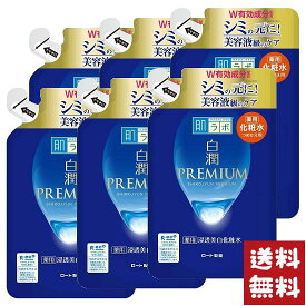 ロート製薬 肌ラボ 白潤プレミアム 薬用 美白化粧水 つめかえ用 170ml×6袋セット