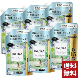 フレア フレグランス IROKA 柔軟剤 詰め替え 大サイズ ナチュラルブリーズの香り 710ml×6袋セット