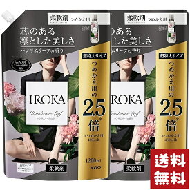 フレア フレグランス IROKA 柔軟剤 詰め替え 超特大サイズ ハンサムリーフの香り 1200ml×2袋セット