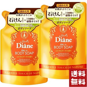 CXg _CA {fB\[v l VgXu[P̍ 400ml×2܃Zbg