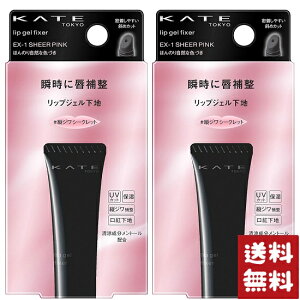 Jl{E KATE PCg bvWFtBNT[ EX-1 bvN[ 8.3g×2Zbg