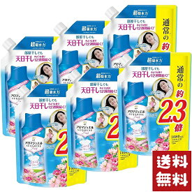 レノア アロマジュエル 香り付け専用ビーズ おひさまフローラル 詰め替え 特大 1080ml×6袋セット