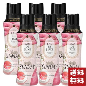 yP[X̔zPG mA I[hNX tpr[Y }ChtlX Tf[ { 520mly6z