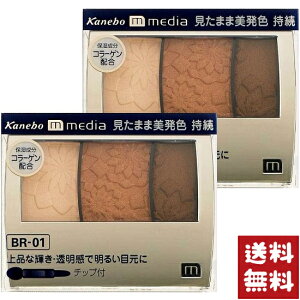Jl{E fBA OfJ[ACVhE BR-01 3.5g×2Zbg