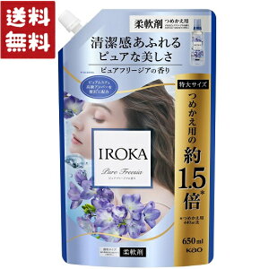 ԉ IROKA _ sAt[WA̍ lߑւ TCY 650ml