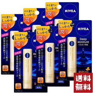 jxA fB[vCX`[ bv ݂͂̍ 2.2g×6Zbg