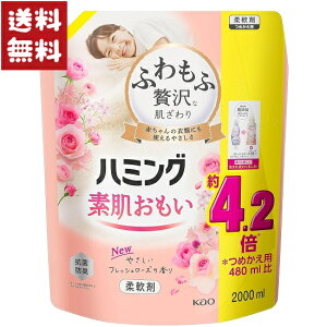 n~O f _ tbV[Y ߂p KTCY 2000ml