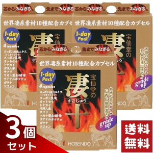 ��哰 ���\ 1day�p�b�N �������イ �����f�C�p�b�N 4�J�v�Z����×3�Z�b�g