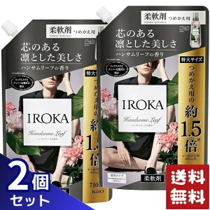 tA tOX IROKA _ lߑւ TCY nT[t̍ 710ml×2܃Zbg