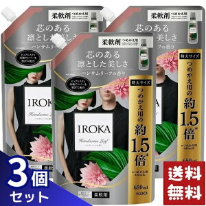 tA tOX IROKA _ nT[t̍ lߑւ TCY 650ml×3܃Zbg