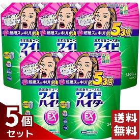 ワイドハイター EXパワー 衣料用漂白剤 詰替用 2400ml×5袋セット
