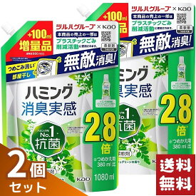 花王 ハミング消臭実感 リフレッシュグリーンの香り 柔軟剤 つめかえ用 1080ml×2袋セット