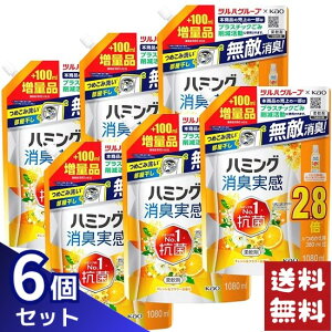 ԉ n~OL IWt[̍ _ ߂p 1080ml×6܃Zbg