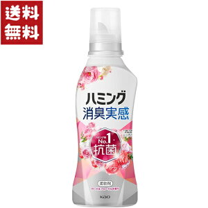 ԉ n~OL [Yt[̍ _ { 510ml