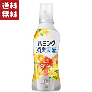 ԉ n~OL IWt[̍ _ { 510ml