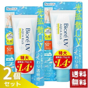 Biore rIUV ANAb` CgAbv GbZX 100g Ă~×2Zbg