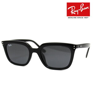 Ray Ban レイバン RB4439D 901/87 54 サングラス ブラック ダークグレー スクエアシェイプ フラットレンズ メンズ レディース ユニセックス 正規品 新品 【送料無料】