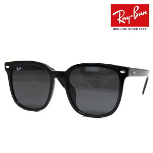 Ray Ban レイバン RB4401D 601/87 57 サングラス ブラック ダークグレー スクエアシェイプ ビッグシルエット 大きめ メンズ レディース ユニセックス 正規品 新品 【送料無料】