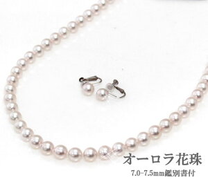 I[Ԏ^ p[lbNX CO2_Zbg AR{^ ^ȊwӒ菑t 7.0-7.5mm w  j Mtgyz