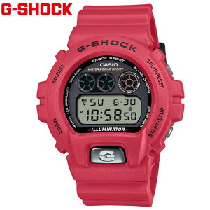 CASIO G-SHOCK DW-6900TR-4JR JVI@rv 6900V[Y 30NLOf Oڃf fW^ Y fB[X jZbNX bh Vi yz