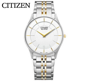 CITIZEN COLLECTION AR3014-56A �V�`�Y�� �R���N�V���� �G�R�E�h���C�u �����Y �r���v �j���p �\�[���[ �����d �A�i���O 2�j���f�� �V���o�[×�S�[���h �v���[���g ���蕨 �M�t�g �y���������z