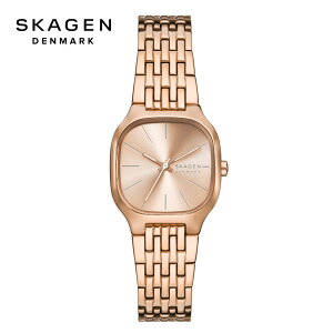 SKAGEN XJ[Q SKW3166 MELLEM LILLE Oj [YS[hg[ XeXX`[EHb` fB[X p rv Ki AiO Vi yz
