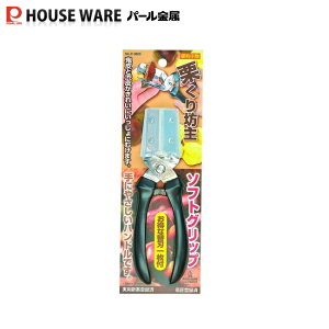 ֗ IV \tgObv C-3809 p[