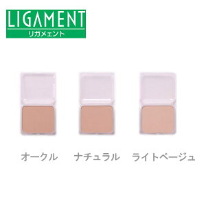 KFg pE_[t@f[V tBiOUt@f[Vj ytz Kg/LGA/LIGAMENT/ɂ₳Y/ϕiERXEr[eB[/ɗD