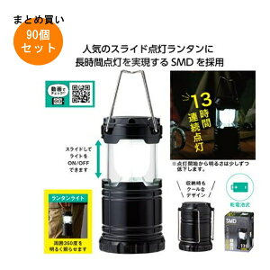 SMD^Cg 90 yt/LZs/bsOsz CxgEKIv`MtgEeiEiiEqStRyA񎟉rSA