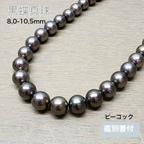 楽天市場】黒蝶真珠ネックレス ピーコックの通販 
