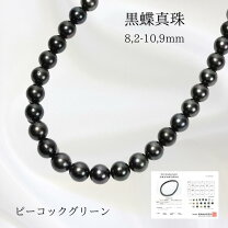 楽天市場】黒蝶真珠ネックレス ピーコックの通販