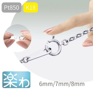 ܂wɂ₳lbNX y  v`i K18